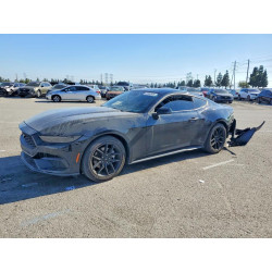 2024 FORD ALL Models 1FA6P8TH4R5104700 41662506