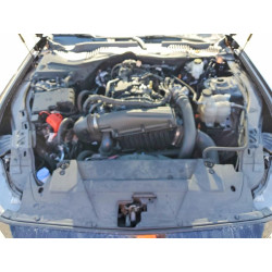 2024 FORD ALL Models 1FA6P8TH4R5104700 41662506