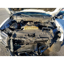 2020 FORD F150 1FTEX1RG9LFC06510 46158536