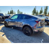 2023 TESLA MODEL Y 7SAYGDEE7PA125955 46769846