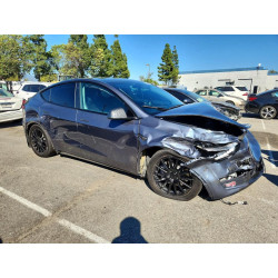 2023 TESLA MODEL Y 7SAYGDEE7PA125955 46769846