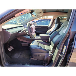 2023 TESLA MODEL Y 7SAYGDEE7PA125955 46769846