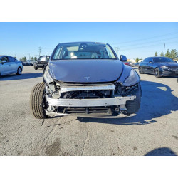 2024 TESLA MODEL Y 7SAYGAEE3RF168337 46955446