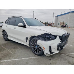 2025 BMW X5 5UX43EU01S9Y60695 47894136
