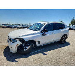 2024 BMW X5 5UX13EU04R9S98742 48703906