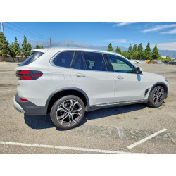2024 BMW X5 5UX13EU04R9S98742 48703906