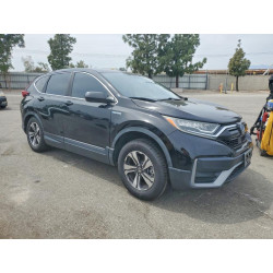 2020 HONDA CRV 7FART6H20LE002848 49033566