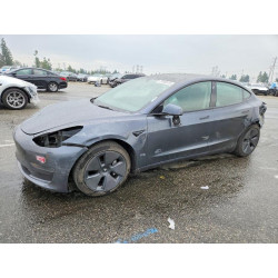 2023 TESLA MODEL 3 5YJ3E1EA6PF695196 73385615