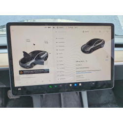 2023 TESLA MODEL 3 5YJ3E1EA6PF695196 73385615