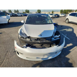 2022 TESLA MODEL 3 5YJ3E1EA9NF345462 75389335