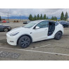 2025 TESLA MODEL Y 7SAYGDED1SF255166 76952885