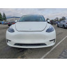 2025 TESLA MODEL Y 7SAYGDED1SF255166 76952885
