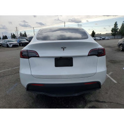 2025 TESLA MODEL Y 7SAYGDED1SF255166 76952885