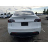 2025 TESLA MODEL Y 7SAYGDED1SF255166 76952885
