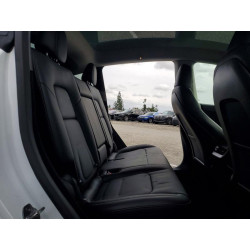 2025 TESLA MODEL Y 7SAYGDED1SF255166 76952885