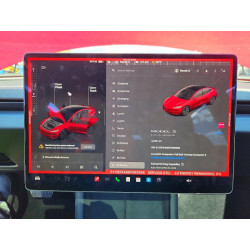 2025 TESLA MODEL 3 5YJ3E1EA6SF063596 77757455