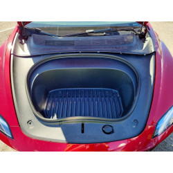 2025 TESLA MODEL 3 5YJ3E1EA6SF063596 77757455