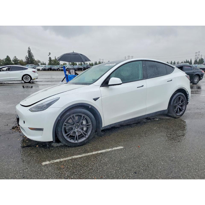 2025 TESLA MODEL Y 7SAYGDEE3SF307292 78102145