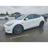 2025 TESLA MODEL Y 7SAYGDEE3SF307292 78102145