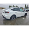 2025 TESLA MODEL Y 7SAYGDEE3SF307292 78102145