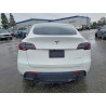 2025 TESLA MODEL Y 7SAYGDEE3SF307292 78102145