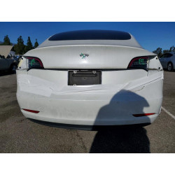 2020 TESLA MODEL 3 5YJ3E1EA7LF645109 79046045