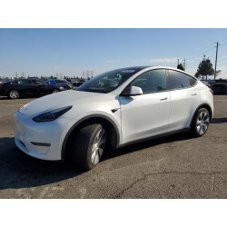 2023 TESLA MODEL Y 7SAYGDEE8PF875593 81567485