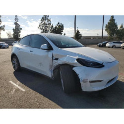 2023 TESLA MODEL Y 7SAYGDEE8PF875593 81567485