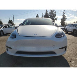 2023 TESLA MODEL Y 7SAYGDEE8PF875593 81567485