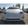 2023 TESLA MODEL Y 7SAYGDEE8PF875593 81567485