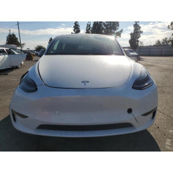 2023 TESLA MODEL Y 7SAYGDEE8PF875593 81567485