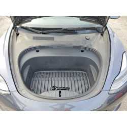 2023 TESLA MODEL 3 5YJ3E1EAXPF599457 99138685