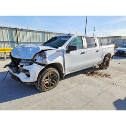 2023 CHEV ALL Models 3GCUDFEL7PG316934 46233426