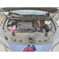 2025 LEXUS RX 350H LU 2T2BBMCA5SC096274 49237876