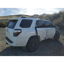 2024 TOYOTA 4RUNNER JTEMU5JR7R6229779 45831146