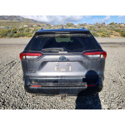 2024 TOYOTA RAV4 JTMAB3FV5RD209355 48619356