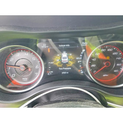 2020 DODGE CHARGER 2C3CDXGJ2LH244276 75803745