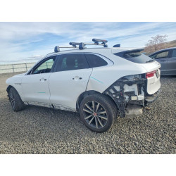 2023 JAGUAR F-PACE SADCJ2EX2PA704091 78529285