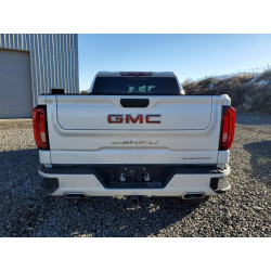 2020 GMC SIERRA 1GTU9FEL7LZ209491 96636435