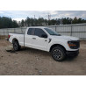 2024 FORD F150 1FTFX1L56RKD20167 46865296