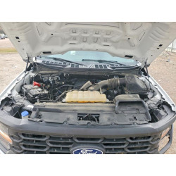 2024 FORD F150 1FTFX1L56RKD20167 46865296
