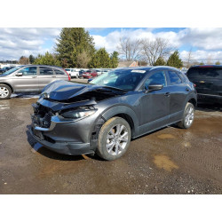 2022 MAZDA CX30 3MVDMBCL6NM432229 46375816