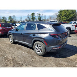 2023 HYUNDAI TUCSON 5NMJBCAE0PH237639 46620276