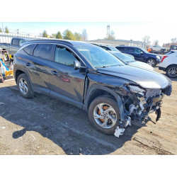 2023 HYUNDAI TUCSON 5NMJBCAE0PH237639 46620276