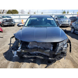 2023 HYUNDAI TUCSON 5NMJBCAE0PH237639 46620276