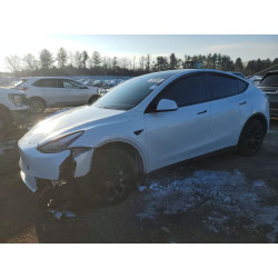 2024 TESLA MODEL Y 7SAYGDED3RF092059 75603485