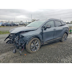 2025 KIA SPORTAGE KNDPXCDG0S7238279 79610425