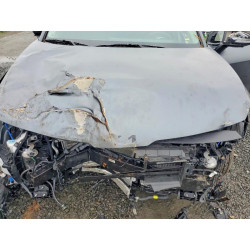 2025 KIA SPORTAGE KNDPXCDG0S7238279 79610425