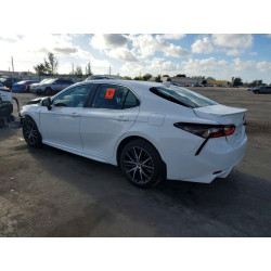 2023 TOYOTA CAMRY 4T1T11BKXPU080176 45743166