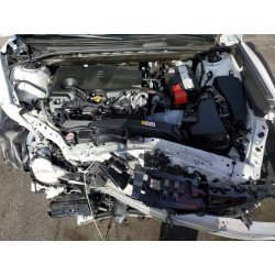 2023 TOYOTA CAMRY 4T1T11BKXPU080176 45743166